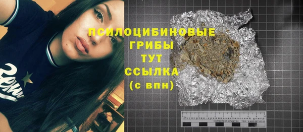 Альфа ПВП Кукмор