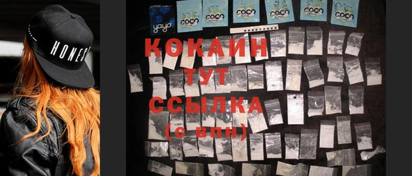 гидра Киренск