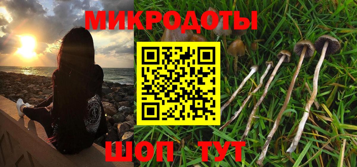 купить наркоту  Димитровград  Галлюциногенные грибы Psilocybe 