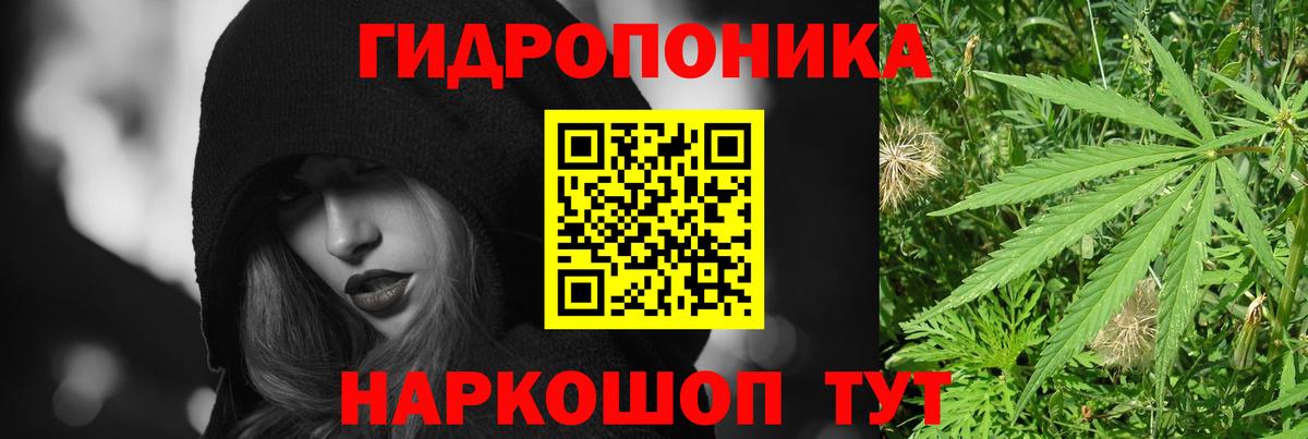 Канабис конопля  Каннабис LSD WEED  Каннабис OG Kush  Вход с VPN  Димитровград 