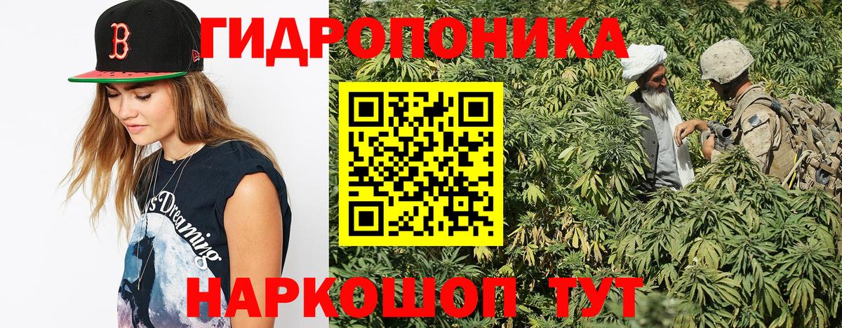 Канабис планчик Димитровград